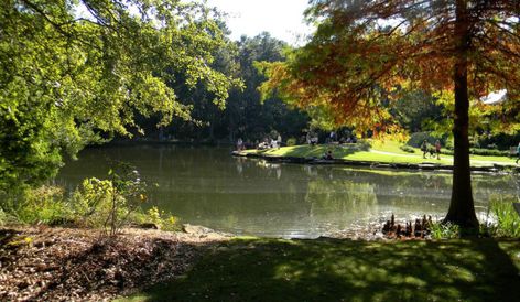 Nature, Alabama Garden, Southern Gardening, Hoover Alabama, Birmingham Botanical Gardens, Walking Trail, Arbour Day, Garden Features, Walking Trails