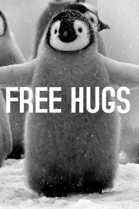 PP:Baby penguin fluffy. | 31 Best Kinds Of Fluffy Me Sue: I just can't get enough of this fantastic pin! Have a Great day everyone Zooey Deschanel, Penguin Hug, The Meta Picture, Cele Mai Drăguțe Animale, Penguin Love, Free Hugs, Baby Penguins, Haiwan Peliharaan, Cute Penguins