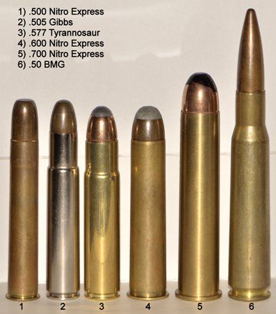 Shooting .700 Nitro Express, 4 Bore and .950 JDJ Rifles (VIDEO) - The Firearm BlogThe Firearm Blog Cannon Powershot Elph 180, 700 Nitro Express, Nitro Express, Hornady Reloading, Bullet Types, 9mm Bullet, Apocalypse Survival, 5.0 Coyote Engine, Stainless Steel Tubing