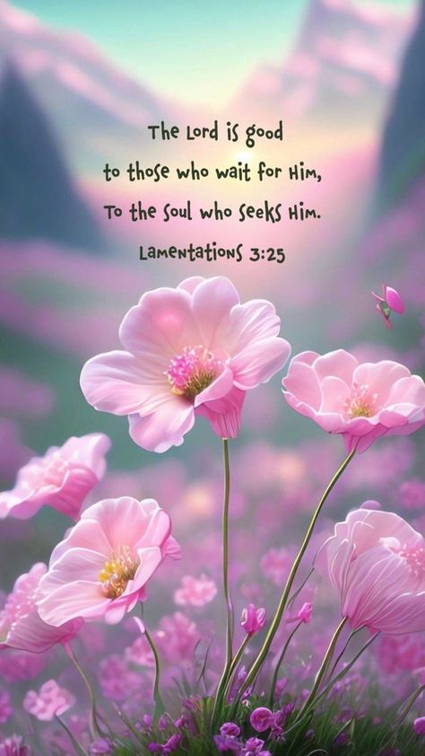 The LORD is good to those who wait for him, to the soul who seeks him.. (Lamentations3:25 ESV) PRAYER 🤲🏼 FatherGod thankYou! Today and always bless us with a Spirit that waits on You and hearts that continually seek You-in Jesus’ Name Amen! Bible Verses With Flowers, Happy Scripture, Lamentations 3 25, Blessed Scripture, Scripture Blessings, Wait For The Lord, Bible Verse Background, Bible Quotes Images, Beautiful Scripture