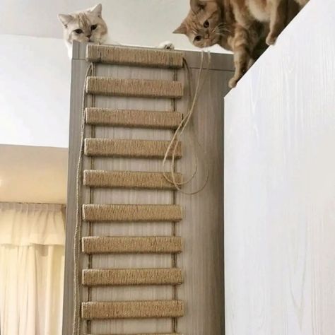 Look what I found on AliExpress Ladder For Cats, Cat Climbing Rope, Cat Office, Cat Climbing Shelves, Cat Climbing Wall, Cat Ladder, Cat Climber, Rope Bridge, Cat Wall Shelves