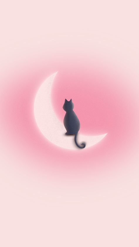 Pink Cat Wallpaper Iphone, Black With Pink Wallpaper, Pink Cat Background, Pastel Pink Lockscreen, Cat Pink Aesthetic, Pink Lockscreen Aesthetic, Pink Cat Aesthetic, Cute Cat Wallpaper Aesthetic, Cat Pink Wallpaper