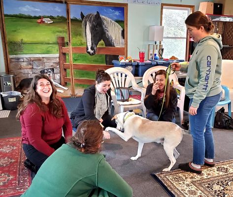 Homepage - International Institute for Animal Assisted Play Therapy Animal Assisted Therapy, Therapy Animals, Play Therapy, Therapy Dogs, Training Programs, A Dog, Good Books, Dogs, Animals