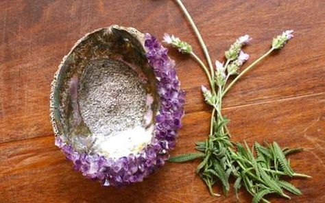 abalone shells, smudging, astral collective, spirituality, wellness, mother nature Smudge Bowl, Diy Bowl, Succulent Garden Diy, Shell Crafts Diy, Play Clay, 108 Mala Beads, Healing Crystal Jewelry, Shell Crafts, Mala Beads