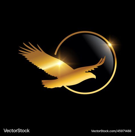 Eagle Icon, Black Background With Gold, Rs Logo, Aigle Royal, Flying Eagle, Eagle Logo, Golden Eagle, Real Money, Victoria Secret Angels