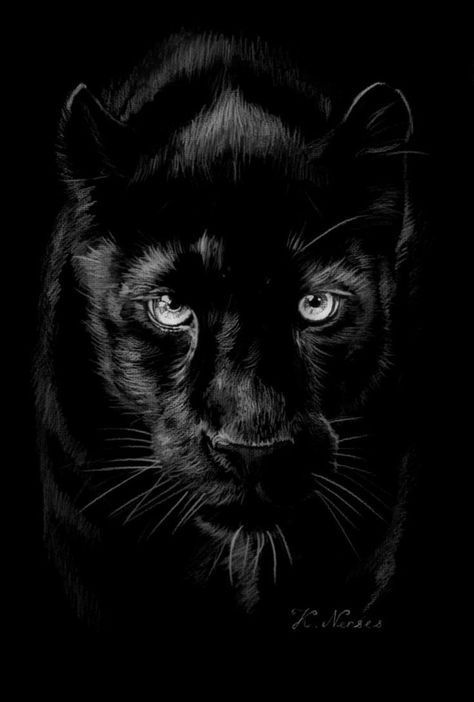 Jaguar Animal, Animal Coloring, Animal Coloring Pages, Www Pinterest Com, In The Dark, Jaguar, Black Cat, Tattoo Ideas, Coloring Pages