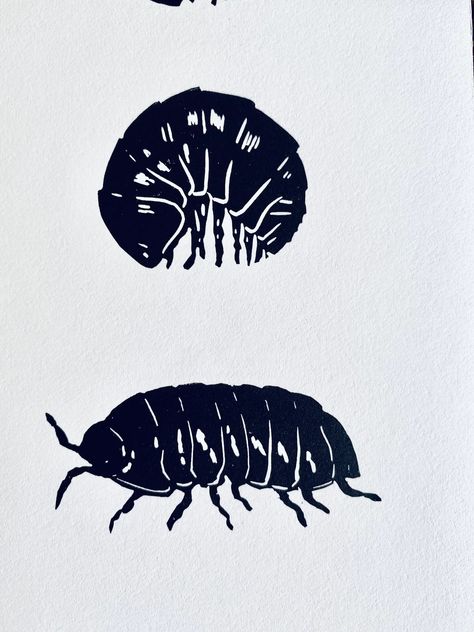 Woodlouse Linocut Print-insect Print-pill Bug Print-nature Art-wall Decor-wildlife Print-handmade Lino Print - Etsy Bug Wall Art, Pill Bug Drawing, Insect Linocut, Bug Linocut, Bugs Drawing, Pill Bug, Woodcut Art, Bug Print, Lino Printing