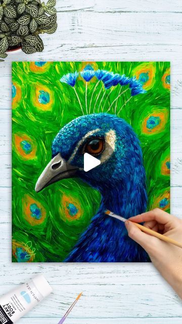 Rachel Froud Art on Instagram: "New art tutorial just added! 🎨  I had so much fun painting this lovely peacock, I have filmed the whole process and created a full step by step tutorial that’s available now! I’ll add the link to my ‘tutorials’ story highlights ✨  I’m so happy I got to use some of my favourite paint colours for this peacock painting, especially in the feathers 💙 I really hope you like it!  If you have any name ideas for mr Peacock let me know! ❤️ . . . . #animalart #colorfulart #arttutorial #paintingtutorial #wildlifeart #animalpainting #wildlifeartist" Paintings Of Peacocks Acrylic, Painting Peacock Feathers, Peacock Painting Acrylic Easy, Peacock Painting Easy, Peacocks Bird, Peacock Paintings, Mr Peacock, Peacock Artwork, Peacock Feather Art