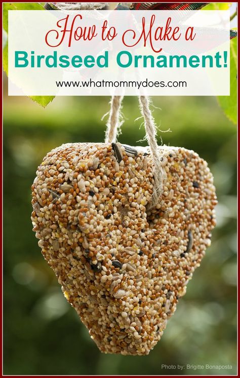 How to Make a Bird Seed Ornament - Just five main ingredients in this recipe. After a couple of birdseed ornament fails with peanut butter, I'm excited about this easy recipe that has corn syrup and gelatin instead! I can't wait to watch birds out our window with the kids! I think these would be lovely neighbor gift ideas as well. Traditional Birdhouse, Bird Seed Ornaments Recipe, Neighbor Gift Ideas, Seed Ornaments, Ranger Rick, Make A Bird, Bird Seed Ornaments, Homemade Bird Feeders, Food Ornaments