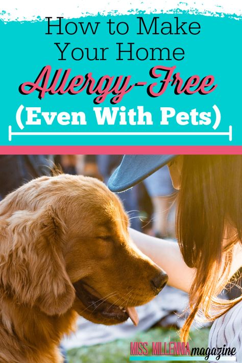 Pet Allergy Relief, Viva Paper Towels, Dusting Spray, Pet Allergies, Allergy Relief, Dog Allergies, Sponsored Posts, Reduce Food Waste, Pet Owner