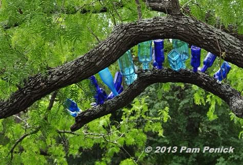 Bottle trees, a Southern tradition that brightens the garden - article explains bottle tree origin & photos examples | source: Digging Wine Bottle Fence, Bottle Fence, Budget Gardening, Upcycled Bottles, Bottle Trees, Plate Flowers, Garden Totems, Simple Garden, Bottle Tree