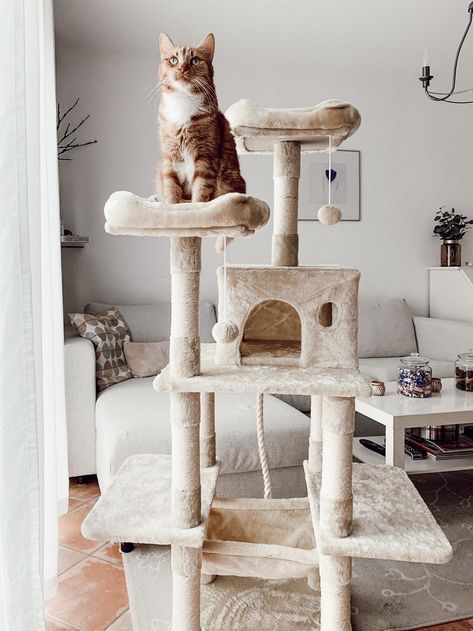 Small Cat Tree, Wooden Cat Tree, Scratcher Cat, Cat Tree Condo, House Cat, Wood Cat, Cat Condo, Cat Scratching Post, Wooden Cat