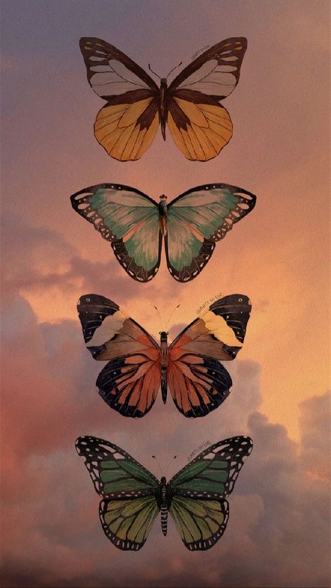 Butterfly Wallpaper Backgrounds, Iphone Lockscreen Wallpaper, Cellphone Wallpaper Backgrounds, Trending Pins, Wallpaper Nature Flowers, Iphone Wallpaper Photos, Iphone Wallpaper Themes, Backgrounds Phone Wallpapers, Art Wallpaper Iphone