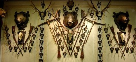 Packed to the ceiling with antique taxidermy and hunting arms Antique Taxidermy, Duck Mounts Taxidermy, Cape Buffalo Taxidermy, Buck And Doe Taxidermy, Mythological Taxidermy, Trophy Hunting, Antlers Decor, Taxidermy Mounts, Bear Hunting