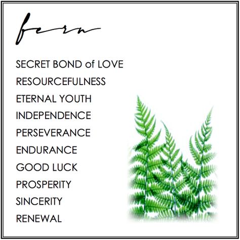 YO Eternal Green Days Fern Spiritual Meaning, Meaning Of Fern Tattoo, Plant Tattoo Meaning, Fern Tattoo Meaning, Green Fern Tattoo, Leaves Tattoo Meaning, Fern Quotes, Fern Symbolism, Fern Meaning