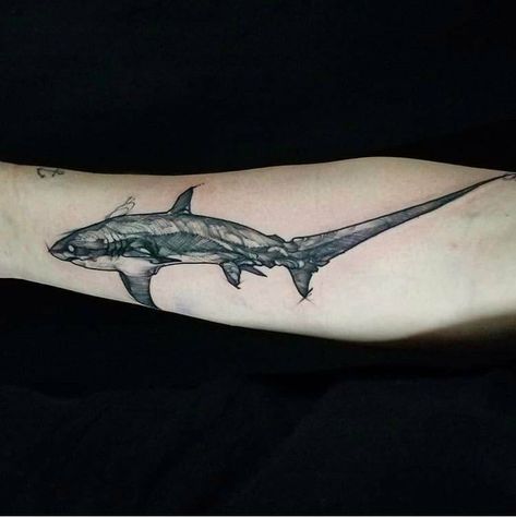 Shark Skeleton Tattoo, Thresher Shark Tattoo, Black Lotus Tattoo, Shark Tattoo Ideas, Sagittarius Tattoo Designs, Thresher Shark, Photos Animals, Tattoo On Hand, Sagittarius Tattoo