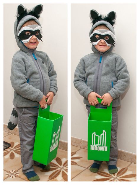 Kids DIY Homemade Raccoon Costume complete with Toronto green bin for candy collection. #Canadian Diy Racoon Costume, Raccoon Costume Diy, Racoon Costume, Diy Costumes For Boys, Raccoon Mask, Raccoon Costume, Animal Costumes For Kids, Kid Costume, Green Bin