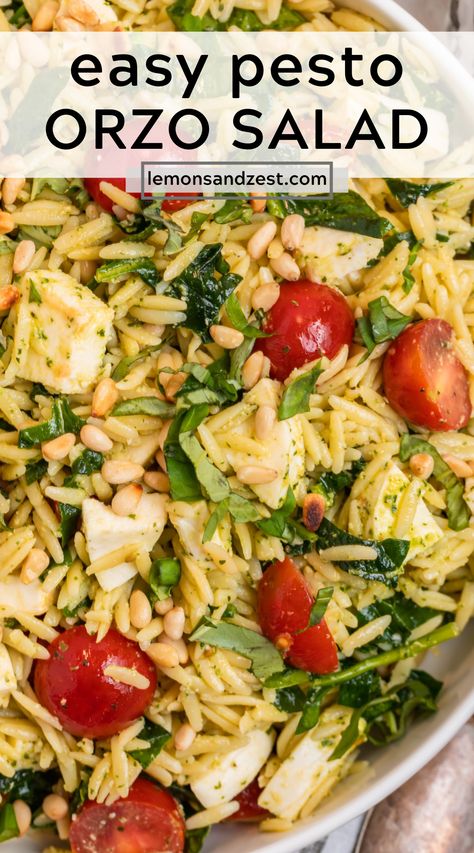 This Pesto Orzo Salad is a fresh and simple salad made with a handful of simple ingredients. Filled with fresh mozzarella, tomatoes, a homemade basil pesto. Whip it up in under 30 minutes, add a protein to make it a meal, the possibilities are endless! Recipe With Orzo, Pesto Orzo Salad, Pesto Orzo, Homemade Basil Pesto, Orzo Salad Recipes, Pesto Salad, Pastas Recipes, Orzo Pasta Salad, Simple Salad