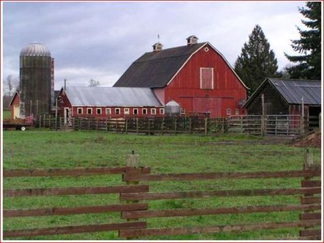 Amas Veritas, Kent Family, Kent Farm, Jon Kent, Wind Mills, Maggie Greene, Popular Places, Tom Welling, White Rabbits