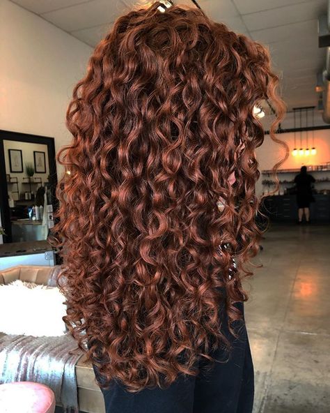 Red Tinted Brown Hair, Dark Ginger Hair, Curly Red Hair, Copper Brown Hair, Natural Curly Hair Cuts, Dyed Curly Hair, Highlights Curly Hair, Biracial Hair, Red Curly Hair