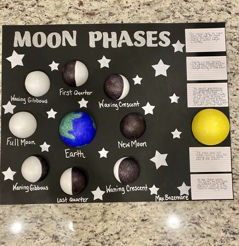 Moon Phase Science Project, Moon Phase School Projects, Moon Phases School Project, Moon Phases Model Project, Moon School Project, Moon Phases Project Middle School, Moon Phases Science Project, Moon Phases Project For Kids, English Board Ideas