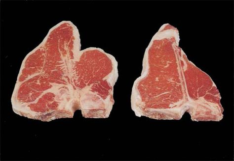 I think this is a better example showing the difference between a Porterhouse Steak and a T-Bone Steak. Beet Steaks, Beef Loin, Grilled Foods, Porterhouse Steak, T Bone Steak, Steak Cuts, Art Cafe, Paleo Beef, Pork Meat