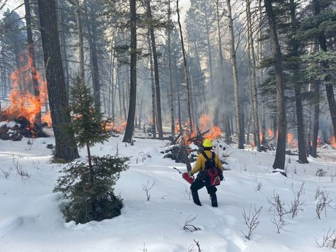 Prescribed burns can clear out undergrowth and reduce the risks of catastrophic wildfire. But the US Forest Service is studying whether increasingly hot and dry conditions make it harder to burn safely. Maurice Cruz/Forest Stewards GuildThe Forest Service is asking how it can both expand critical prescribed fire use, and do so safely in a warming world. The post Why the US Forest Service paused prescribed burns—a key wildfire prevention tool appeared first on Popular Science. Santa Fe National Forest, New Mexico History, Us Forest Service, Fire Escape, Popular Science, Forest Service, Forest Floor, National Forest, Ecology