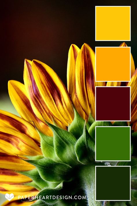 Color Palette With Yellow And Green, Bright Pantone Color Palette, Cheetah Color Palette, Color Pallets With Yellow, Yellow Pantone Colour Palettes, Color Cube Palette, Color Schemes With Gold, Honey Color Palette, Color Pallet Ideas