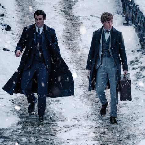 Newt And Theseus, Newt Scamander Aesthetic, Harry Potter Prequel, The Secrets Of Dumbledore, Secrets Of Dumbledore, Alison Sudol, Fantasic Beasts, Welcome To Hogwarts, Crimes Of Grindelwald