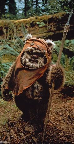 Imagenes figuras para fieltar Ewoks Star Wars, Evil World, Brussels Griffon, Star Wars Tattoo, Famous Movies, Dark Heart, Star Wars Jedi, Vietnam Veterans, Star Wars Characters