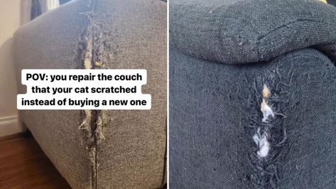 Pet owner’s before-and-after photos reveal a gorgeous way to fix scratched-up couches: ‘This is brilliant’ How To Fix Cat Scratched Couch, Couch Embroidery, Couch Repair, Crafts Painting, Couch Upholstery, Upcycle Recycle, Furniture Repair, Leather Couch, Dog Furniture