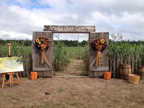 2014 #agcropmaze Petting Zoo Ideas, Diy Halloween Party Games, Educational Farm, Sunflower Maze, Pumpkin Patch Farm, Pumpkin Patch Photoshoot, Pumpkin Patch Party, Diy Halloween Party, The O.c.