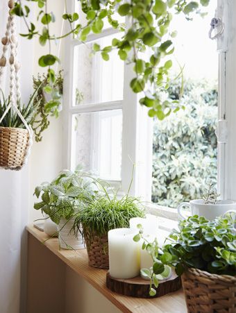 Give your room a new view Window Sill Protector, Plants On Window Sill, Window Ledge Decor, Bay Window Decor, Macrame Window, Window Sill Decor, Window Garden, Plant Window, Window Plants