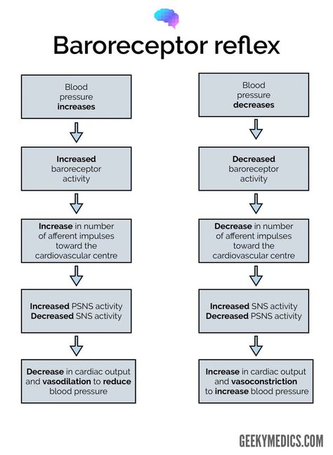 Regulation of Blood Pressure | Physiology | Geeky Medics Pathophysiology Nursing, Anatomy Flashcards, Medical Laboratory Technician, Medical Wallpaper, High School Life Hacks, Medical Student Study, Pulmonology, Medical Laboratory Science, Biomedical Science