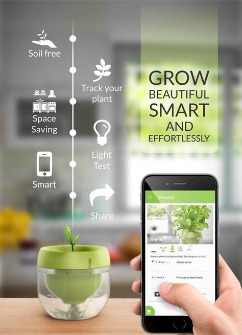 Green Partition, Board Layout, Plant App, Smart Farm, Indoor Farming, Indoor Herb, Herb Gardens, Cat Ideas, Smart Garden