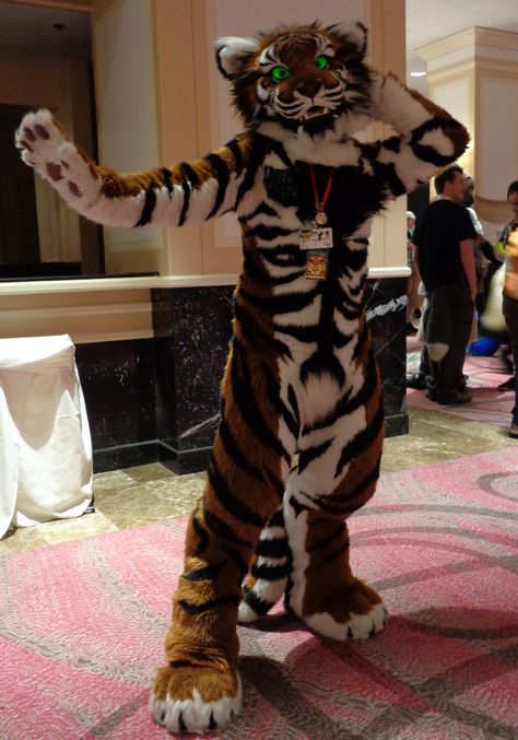 Kawaii, Tiger Cosplay, Tiger Fursuit, Tiger Ears, Fur Suits, Animal Costumes, Epic Cosplay, Animal Sketches, The Tiger