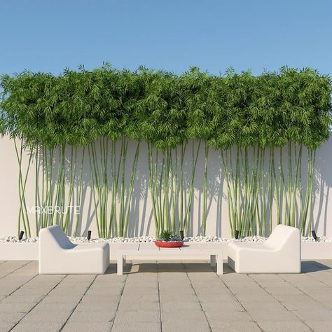 Bamboo Landscape, Modern Garden Landscaping, Side Yard Landscaping, Tropical Garden Design, Privacy Landscaping, Bamboo Garden, Bamboo Wall, Home Garden Design, Gardens Design