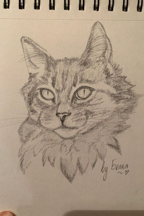 People As Cartoons, Animal Sketches Easy, Animals Sketch, Funniest Pics, Aesthetic Cats, Armband Tattoos, Abstract Pencil Drawings, Cats Art Drawing, Color Drawing Art