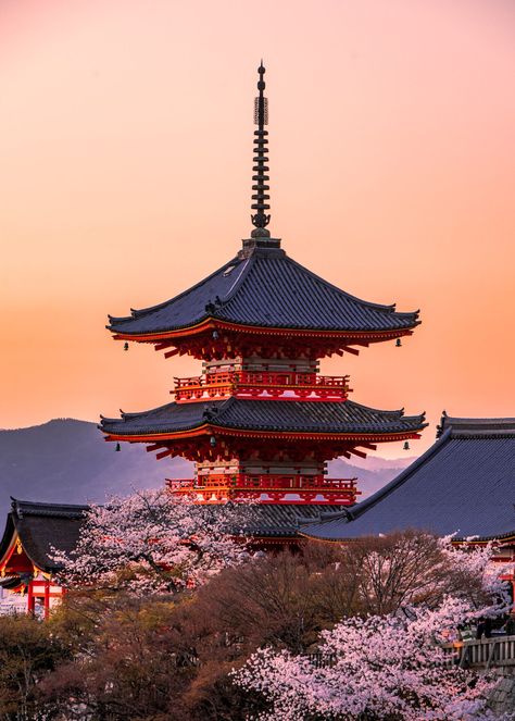 most Instagrammable places in Kyoto Place Japan, Pictures Of Japan, Japan Place, Japanese Place, Photos Of Japan, Pretty Pictures Of Japan, Japan View, Kyoto Wallpaper, Beauty Of Japan