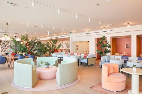 Los Angeles, Pale Pink Room, Lactation Room, Internal Design, Social Space, Workspace Design, Wings Design, The Wing, Pink Room