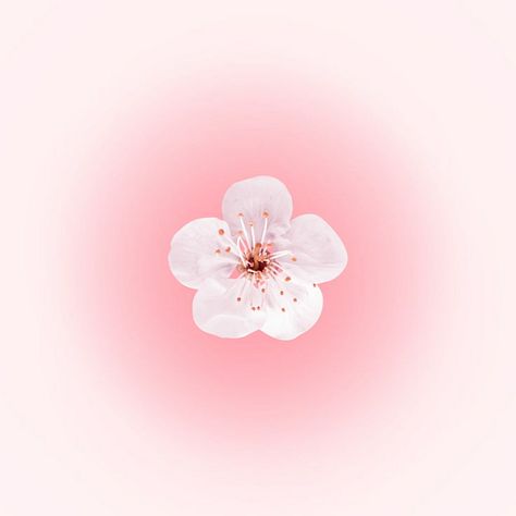 Widget Smith Ideas Pink, Pink Widgets For Ipad, Cute Apple Watch Wallpaper Pink, Wallpaper Backgrounds Apple Watch, Coquette Apple Watch Wallpaper, Apple Watch Wallpaper Aesthetic Pink, Ipad Flower Wallpaper, Cute Wallpapers For Apple Watch, Pink Wallpaper Apple