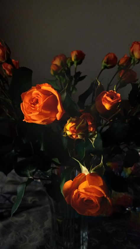 #Orange #Aesthetic #Roses #Photography #GoldenHour Edgy Orange Aesthetic, Orange Gothic Aesthetic, Red Orange Aesthetic Wallpaper, Kyra Core Aesthetic, Orange Rose Aesthetic, Orange And Black Aesthetic Dark, Orange Flowers Aesthetic Wallpaper, Orange Asthetics Photos, Rust Orange Aesthetic