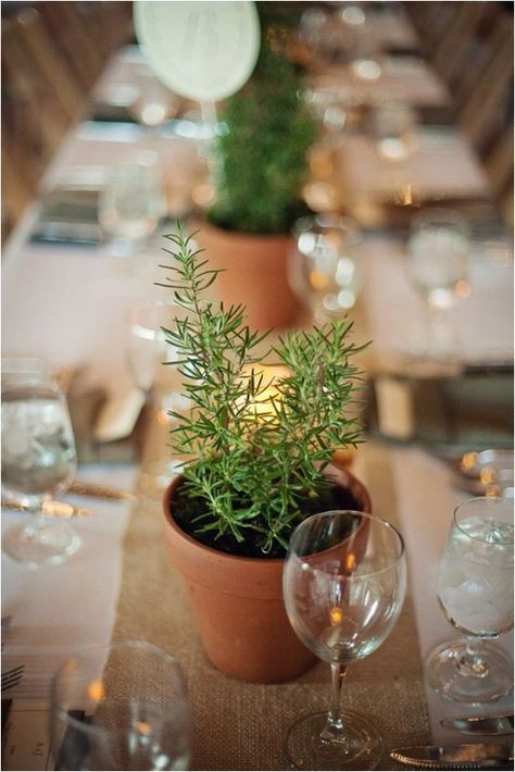 rustic potted plants wedding table decor / http://www.himisspuff.com/potted-plants-wedding-decor-ideas/10/ Herb Centerpieces, Thanksgiving Dinner Table Decorations, Making Centerpieces, Herb Wedding, Plant Centerpieces, Baby Shower Decorations Neutral, Rustic Centerpiece, Thanksgiving Dinner Table, Tafel Decor