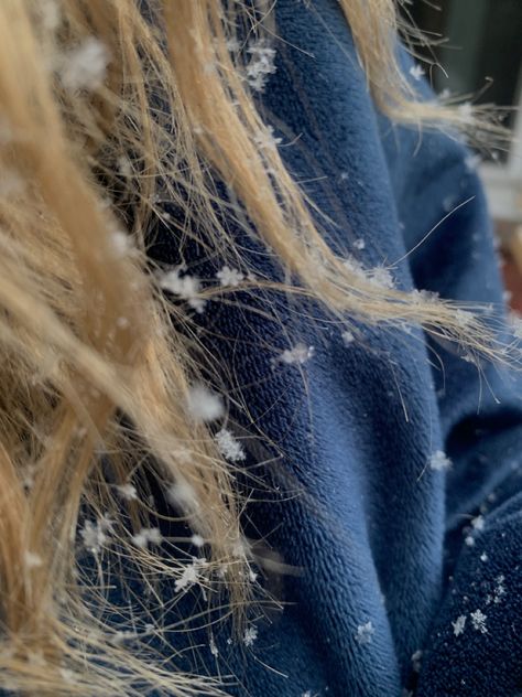 snowflakes in clear snowflake shapes sit effortlessly on long blonde wavey hair. the person is wearing a fuzzy deep blue sweater. Snowflakes In Hair, Snow In Hair Aesthetic, Snowflake Shapes, Winter Reading, Ali Hazelwood, Winter Rose, Snowflake Shape, Long Blonde, Blonde Women