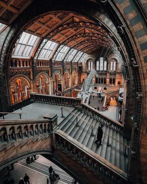 Joe Thomas, Aesthetic London, London Dreams, London Aesthetic, Piccadilly Circus, London Museums, Living Modern, Natural History Museum, Urban Architecture