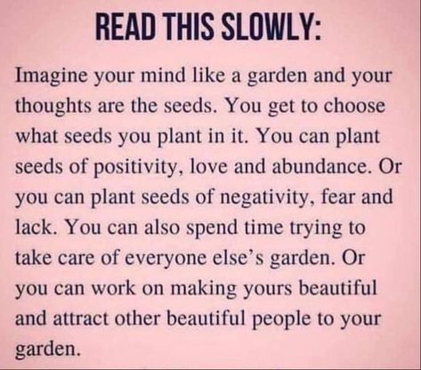 Gregg Braden on Instagram: “What seeds are you planting in your mind and heart? #heartbraincoherence #mindfulness #greggbraden #wisdomtraditions” How To Be Single, Small Minds, Smoothie Packs, Motivational Quotes For Women, Makes You Beautiful, Positive Quotes For Life, Business Inspiration, Planting Seeds, Positive Thoughts