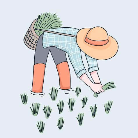 Farmer planting rice illustration | Premium Vector #Freepik #vector #asian-farmer #farmer-agriculture #farming #farmer Agriculture Related Drawings, Agriculture Drawing Ideas, Farming Drawing Easy, Poster About Agriculture, Farmer Drawing Easy, Agriculture Poster Design Ideas, Farmers Aesthetic, Farmers Drawing, Indoor Agriculture