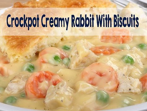 Rabbit Recipe Crockpot, Crockpot Rabbit Recipe, Rabbit Soup, Easy Rabbit Recipe, Fried Rabbit, Rabbit Recipe, Rabbit Recipes, Rabbit Meat, Rabbit Stew