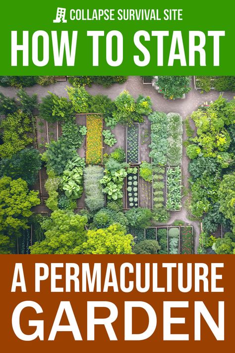 How to Start a Permaculture Garden Permaculture Garden, Permaculture Principles, Farm Plans, Succession Planting, Herb Garden Design, Homestead Gardens, Vegetable Garden Diy, Permaculture Gardening, Survival Gardening