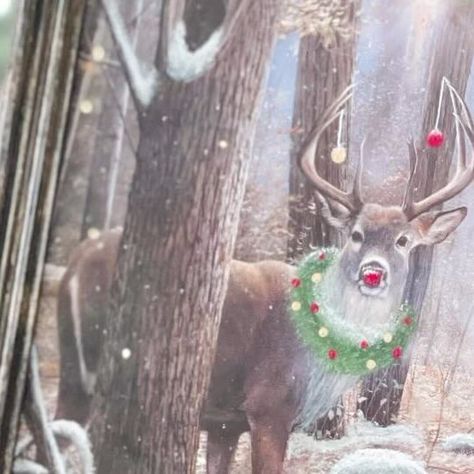 Denise | DIY + Thrifting + Amazon on Instagram: "The viral thrifted ghost painting trend, but make it CHRISTMAS! 🦌🎄❄️❤️ I really enjoyed transforming this thrifted deer picture into red-nosed reindeer ready for the Christmas season! And with a little bit of creativity and some paint, you can transform your own thrifted picture into a festive masterpiece! 🖼️👩🏼‍🎨🎄 #thriftedchristmaspainting #thriftedchristmas #christmasdecor #christmasdecorations #upcycledart thrifted Christmas painting trend decor upcycled art" Thrift Painting Redo, Thrifted Christmas Painting, Thrift Store Christmas Painting, Thrifted Painting Makeover Christmas, Thrift Painting, Painting Upcycle, Halloween Thrift Store Painting, Painting Halloween On Thrifted Art, Thrifted Halloween Painting